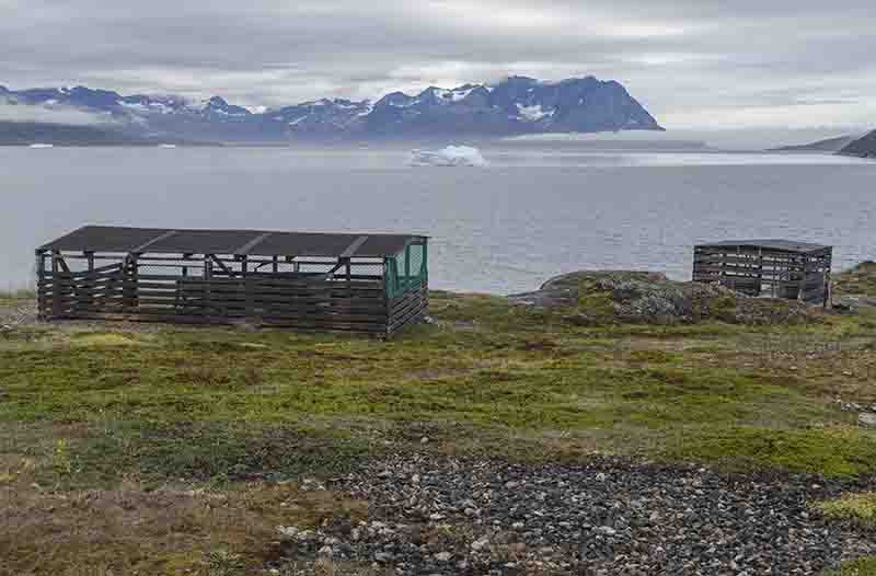 159 - Groenlandia - fiordo Uunartoq - isla de Uunartoq